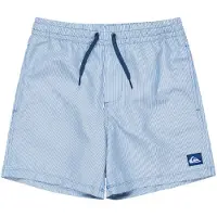 Quiksilver Everyday Deluxe Volley 14 Swimming Shorts Bleu 8 Years Garçon