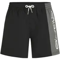 O'Neill Retro 14´´ Swimming Shorts Noir L Homme