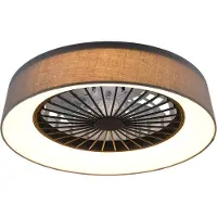 TRIO Ventilateur de plafond LED Farsund 47cm noir