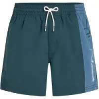 O'Neill Retro 14´´ Swimming Shorts Vert,Bleu S Homme
