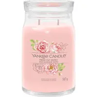 Yankee candle Fresh Cut Roses bougie parfumée Signature 567 g