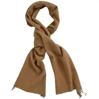 Gant 9920203 Scarf Marron Homme