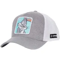 Capslab Bug4 Cap Gris