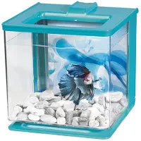 Marina Betta Ez Care 2.5l Aquarium Clair