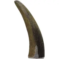 Becker-Schoell AG Chewies Corne De Buffle Pour Chien Corne Mâcher Remplie De Buffle Jouet Mâcher Naturel Soin Dentaire Et Plaisir En 1 Taille M Pour Chiens Jusqu 15 Kg