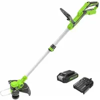 Greenworks Coupe-bordures sans fil 30cm 24V - Batterie 2,0Ah - Chargeur - G24LT30K2