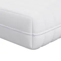 vidaXL Matelas Blanc 120 x 200 cm Ressort de poche