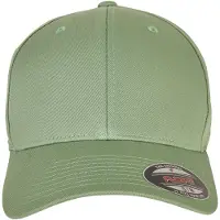 Flexfit Casquette vert / noir / argent