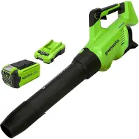 Greenworks G-Max Accu Leaf Blower 40 V - Avec batterie et chargeur