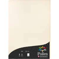 Pollen Clairefontaine Pollen - Papier teinté - crème irisé - A4 (210 x 297 mm) - 120 g/m² - 50 feuille(s)
