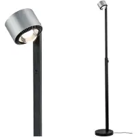 Paulmann Lampadaire , Aldan, dimmable, Noir, Salon / séjour, Métal, Moderne