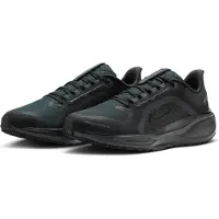 Nike Chaussures de running Pegasus 41 Gore-Tex