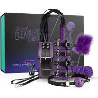 Bedroom Fantasies Coffret Secret Pleasure - kit BDSM avancé (14 pièces)