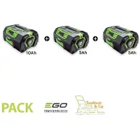EGO Power+ Pack 20AH de batteries Ego Power 56V PACK-20AH