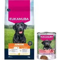 Eukanuba Junior Large au poulet pour chien
