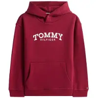 Tommy Hilfiger Sweatshirts à capuche MONOTYPE PRINT HOODIE garcons - Bordeaux - 14 ans