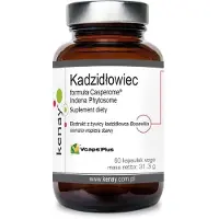 Kenay Wild Blueberry 90 gélules BI7203
