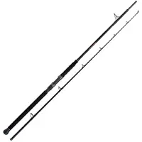 Shimano Fishing Canne à Pêche Pour Poisson-chat Beastmaster Ax Multi