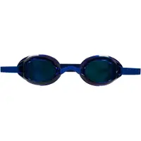 Nike Lunettes De Natation Pour Enfants Legacy Mirrored