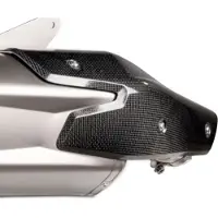 Akrapovic P-hsk10so6 Carbon Heat Shield Argenté