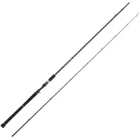 Abu Garcia Salty Style Casting Slow Jigging Rod Argenté 3.05 m / 20-80 g