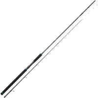 Sunset Salty Kingdom Special Tenya Bottom Shipping Rod Argenté 2.50 m / 130 g
