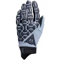 Dainese Hgr Ext Gloves Gris 2XS