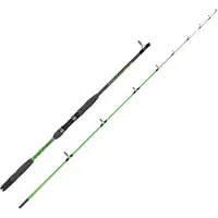 Expert Predator Power Blow Spinning Rod Argenté 3.00 m / 100-250 g