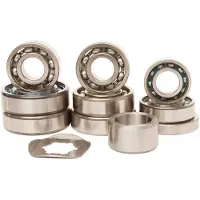 Hotrods Yamaha 350 Raptor 04-13/warrior 98-04 Steering Bearing Kit Argenté