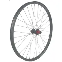 Gtr Sl30 Boost 29´´ Cl Ratchet Disc Tubeless Mtb Rear Wheel Argenté 12 x 148 mm / Shimano/Sram HG