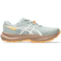 Asics Fuji Lite 6 Trail Running Shoes Gris EU 43 1/2 Femme