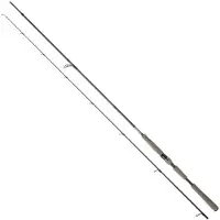 Daiwa Saltist Ags Iii Spinning Rod Noir 2.29 m / 14-56 g