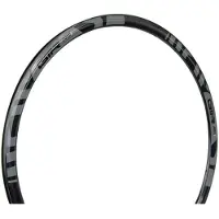 Gtr Rr Disc Rim Gris 700 - 28´´ 24H