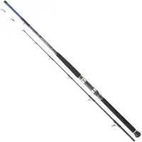Daiwa Powermesh Boat Bottom Shipping Rod Argenté 2.42 m / 50-200 g