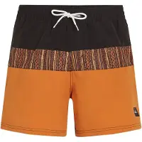O'Neill Cali Block 15´´ Swimming Shorts Orange L Homme