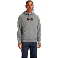 Levi's T2 Relaxed Graphic Hoodie Gris L Homme