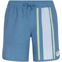 O'Neill O´riginals Scallop 16´´ Swimming Shorts Bleu M Homme