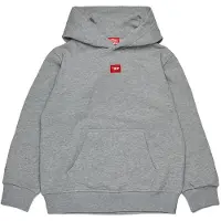 Diesel Kids J02502 Hoodie Gris 14 Years Enfants