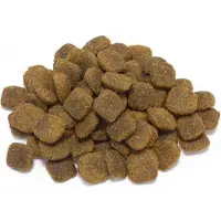 Arquivet Original Adult Salmon Dog Food Marron 20kg