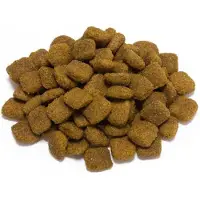 Arquivet Original Adult Cordero Dog Food Doré 20kg
