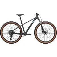Liv Tempt 1 29´´ Cues Rd-u6000 2025 Mtb Bike Noir,Gris M
