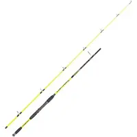 Expert Predator Barracuda Spinning Rod Argenté 2.10 m / 10-40 g