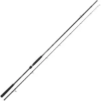 Sakura Ryokan Sw Shore Jigging Rod Argenté 3.00 m / 60-120 g