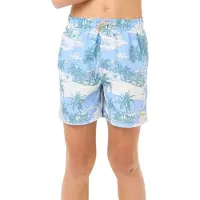 Rip Curl Dreamers Volley Swimming Shorts Bleu 12 Years Garçon