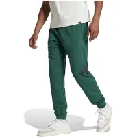 Adidas Essentials Big Logo French Terry Joggers Vert XL / Regular Homme