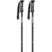 Gabel Speed Poles Argenté 110 cm