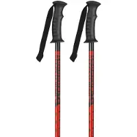 K2 Junior Rental Poles Argenté 100 cm Enfants