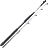 Sunset Nassau Sw Trolling Rod Argenté 1.65 m / 40 Lbs