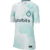 Nike Inter Milan 22/23 Stadium Away Short Sleeve T-shirt Bleu XL Homme