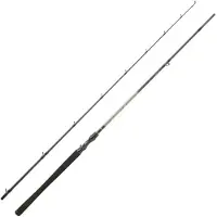 Daiwa Exceler Baitcasting Rod 2 Sections Argenté 2.29 m / 60-120 g